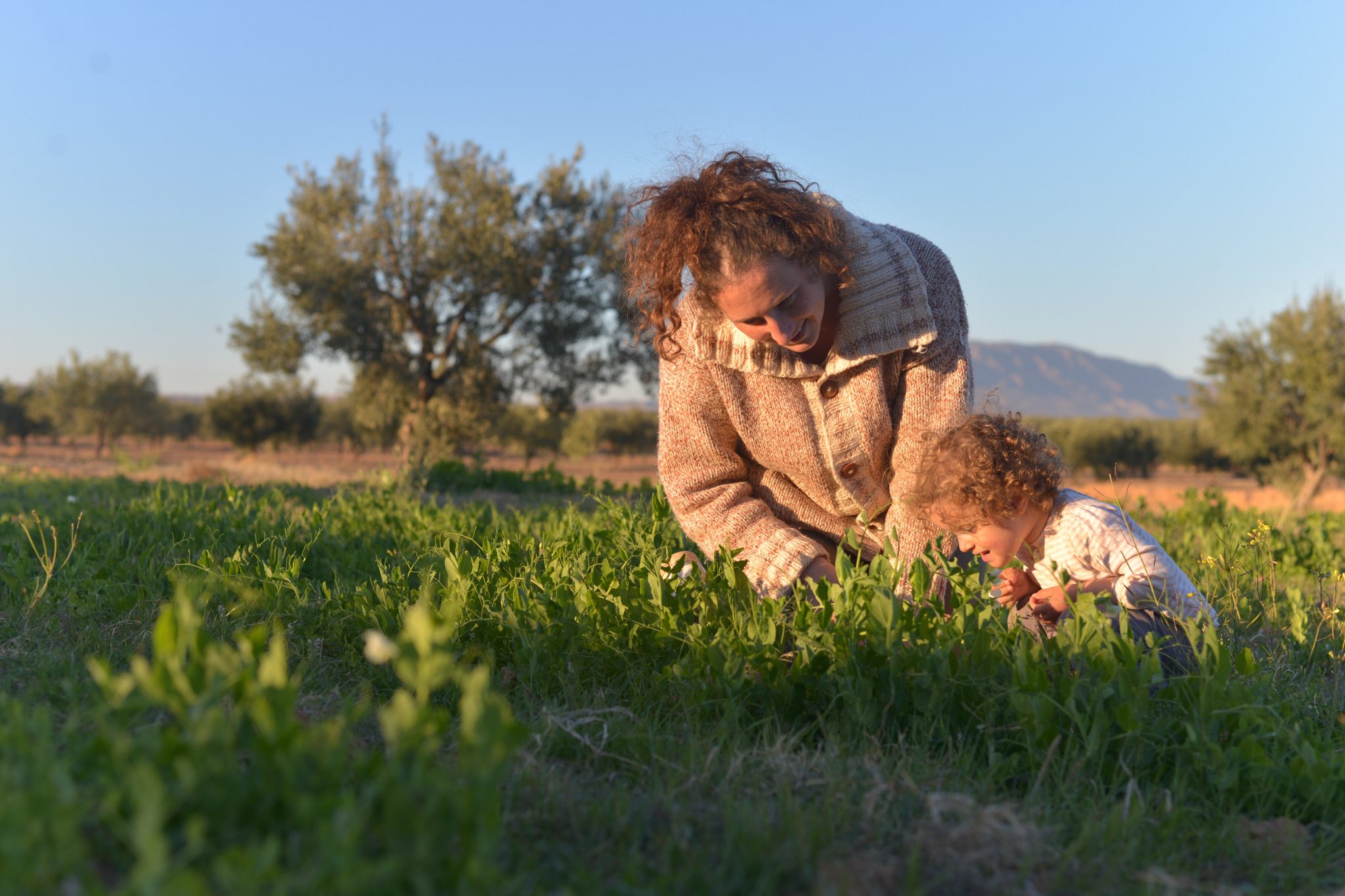 La permaculture pour l'avenir de nos enfants La permaculture pour l'avenir de nos enfants