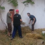 compost permaculture l'ombre du palmier tunisie