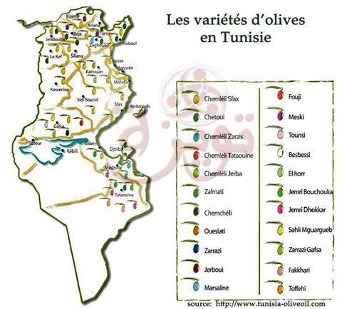 Les variétés locales, des semences adaptées aux terroirs Les variétés locales, des semences adaptées aux terroirs