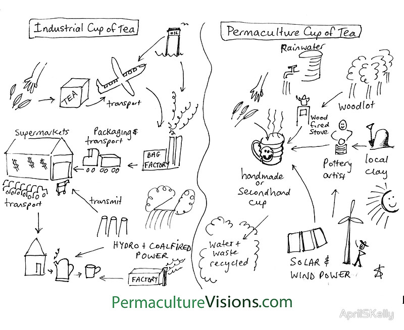 Production d\\\\\\\'une tasse de thé conventionnelle et en permaculture Production d\\\\\\\'une tasse de thé conventionnelle et en permaculture