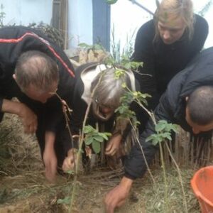 Groupe plantant un jardin en trou de serrure pendant un weekend permaculture