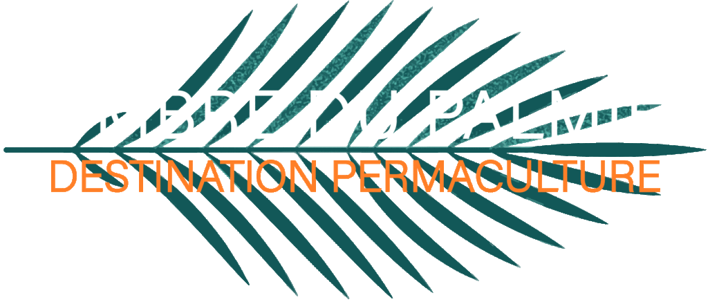 L'ombre du palmier — Destination permaculture