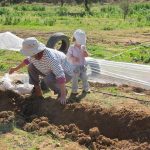 Bénévolat wwoof à L'ombre du palmier Tunisie