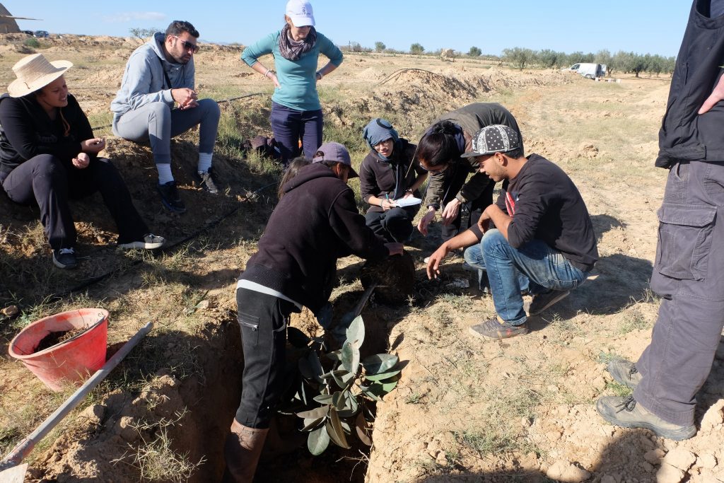 Plantation d'une forêt nourricière à L'ombre du palmier