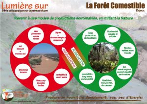 Affiche permaculture food forest