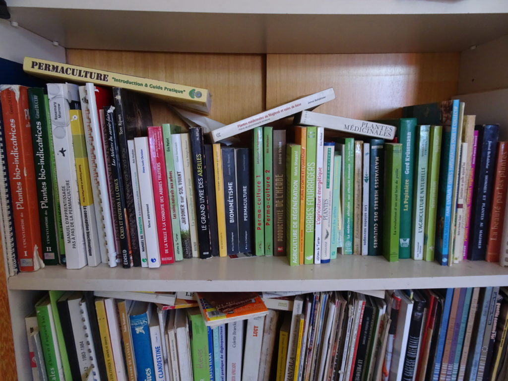 Bibliothèque de L'ombre du palmier, permaculture