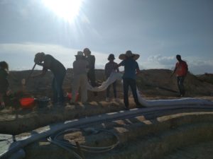 Chantier superadobe L'ombre du palmier