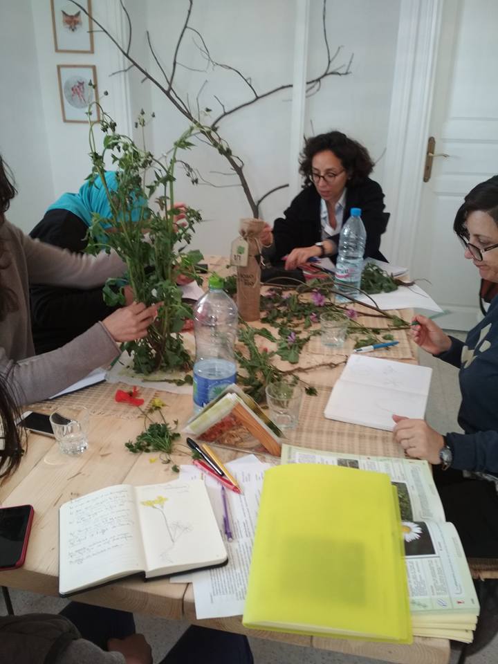 Cours de design en Permaculture PDC L'ombre du palmier