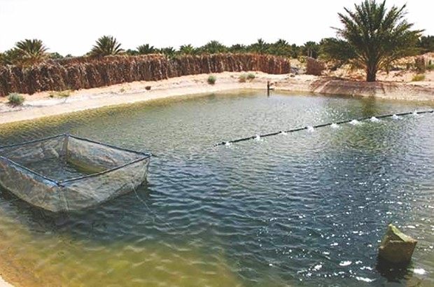 Aquaculture en zone aride