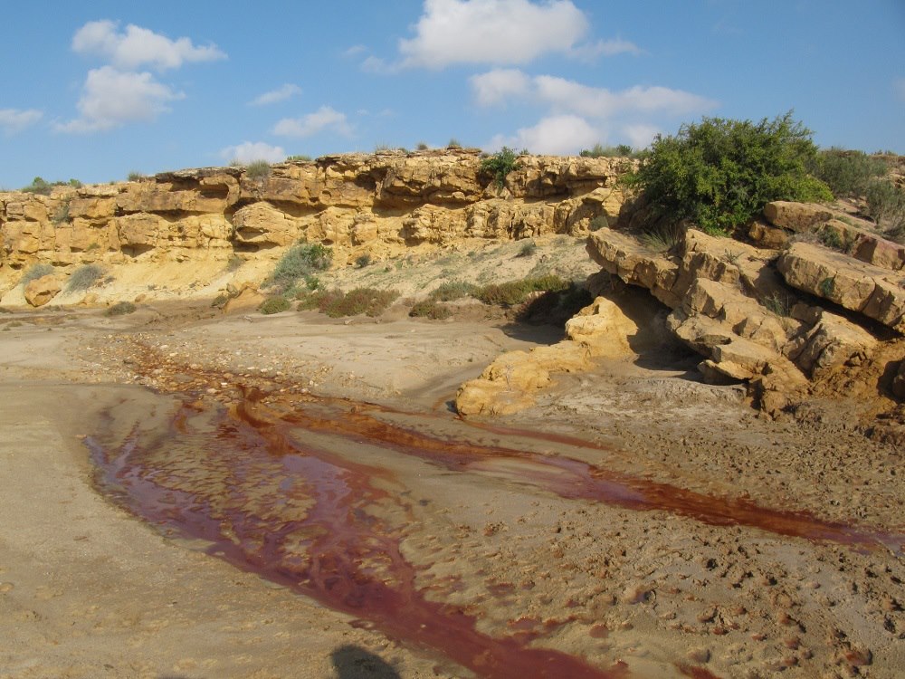 Ballade permaculturellle l'eau au fil du Oued Zroud