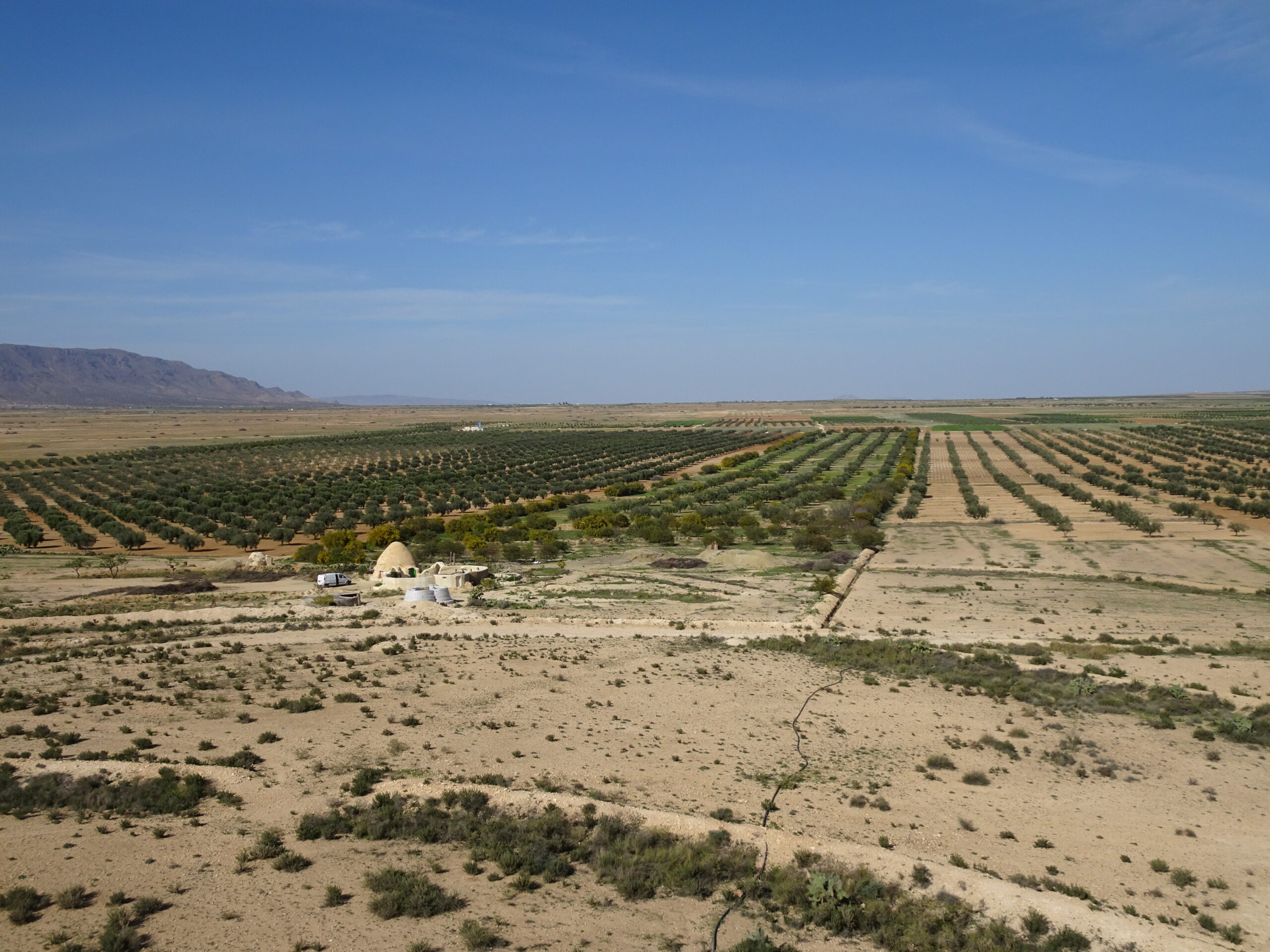 Projet prosol gestion durable des ressources naturelles