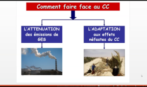 Changement climatique et sols