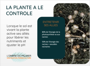 le sol vivant webinaire gratuit