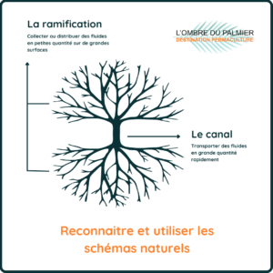Schéma naturel pour l'eau permaculture