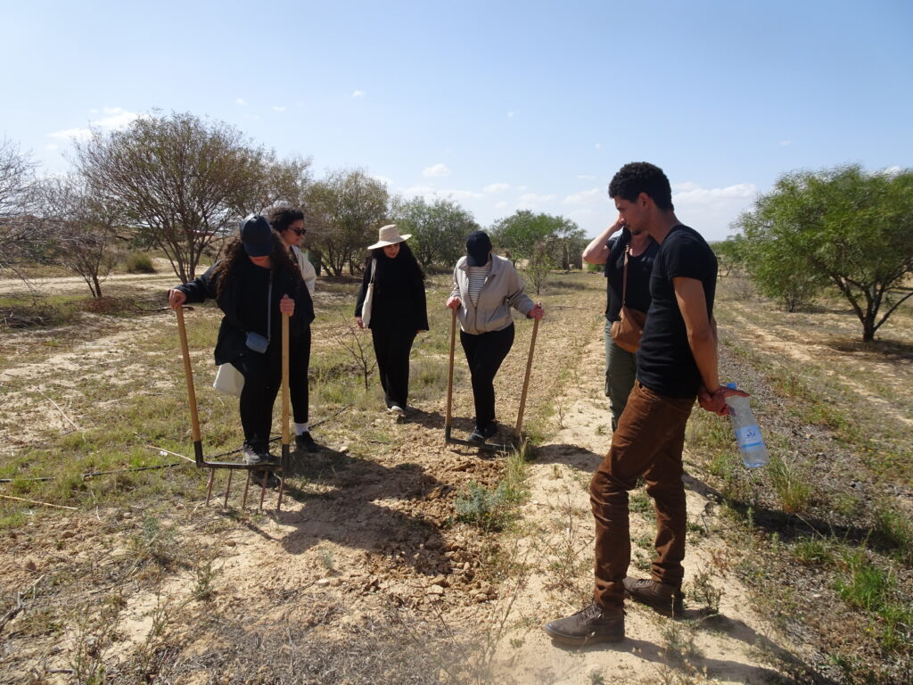 Apprendre la permaculture en Tunisie, weekend permaculture