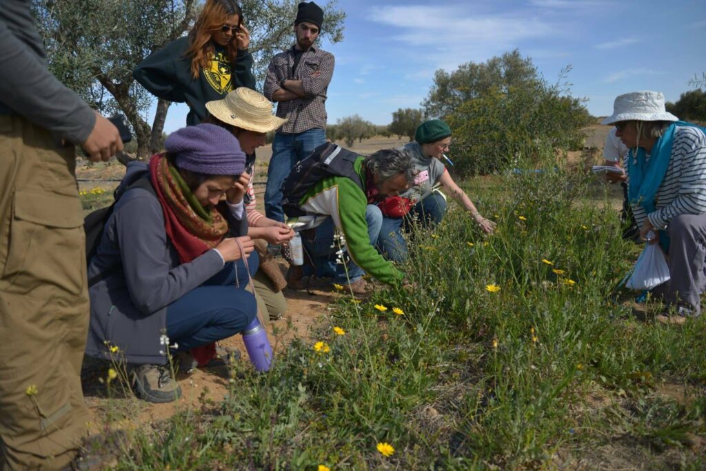 Principes de permaculture