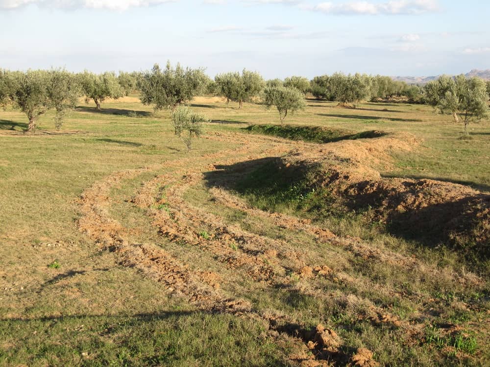 Swale, collecter l'eau avec la permaculture