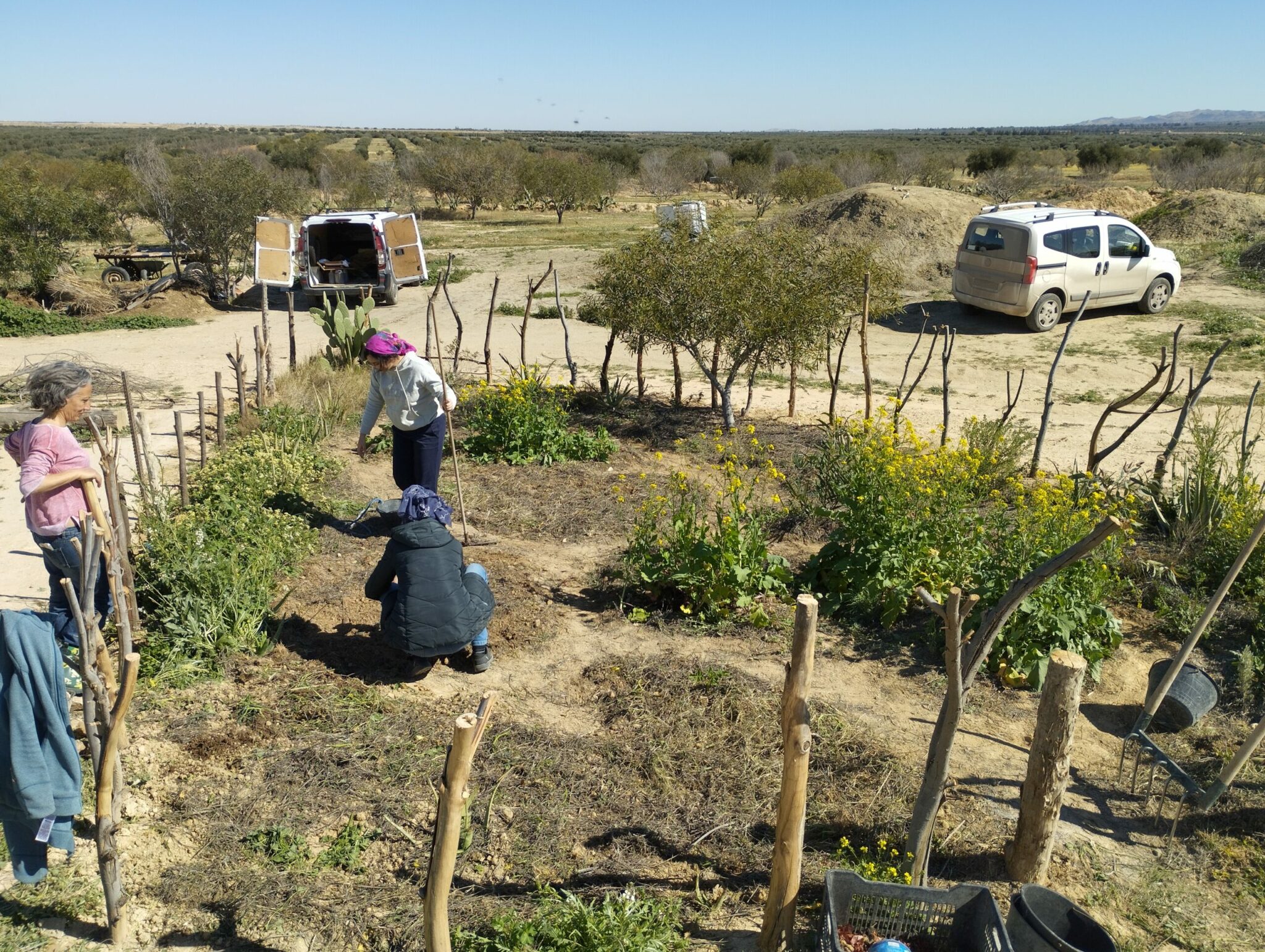 découvrir la permaculture