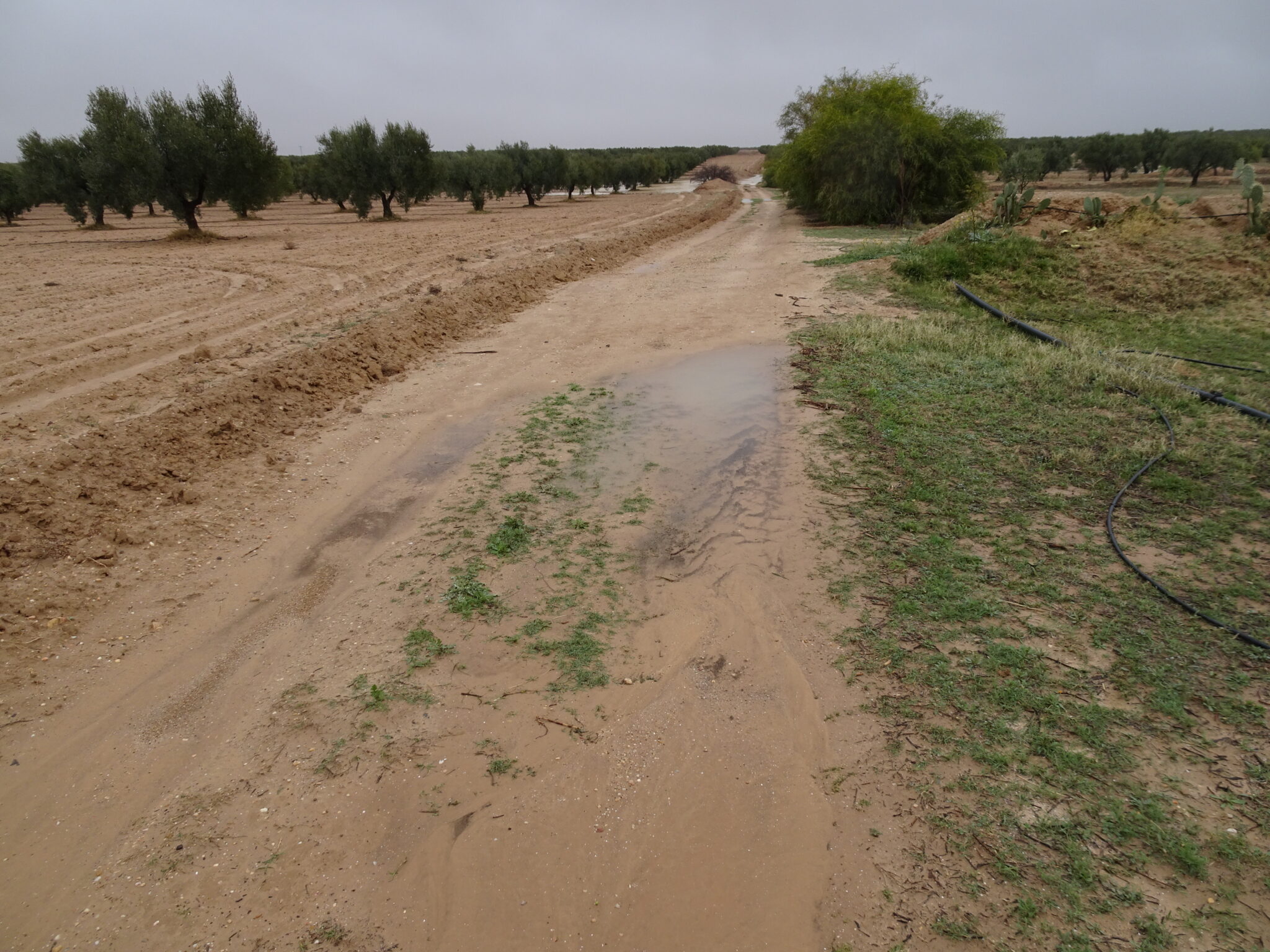 Dos d'âne sur la piste qui ralentit et dirige l'eau dans les swales