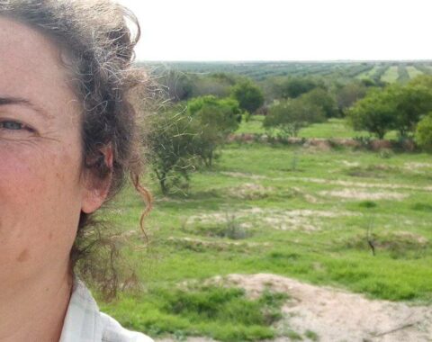 Vie régénérante avec la permaculture