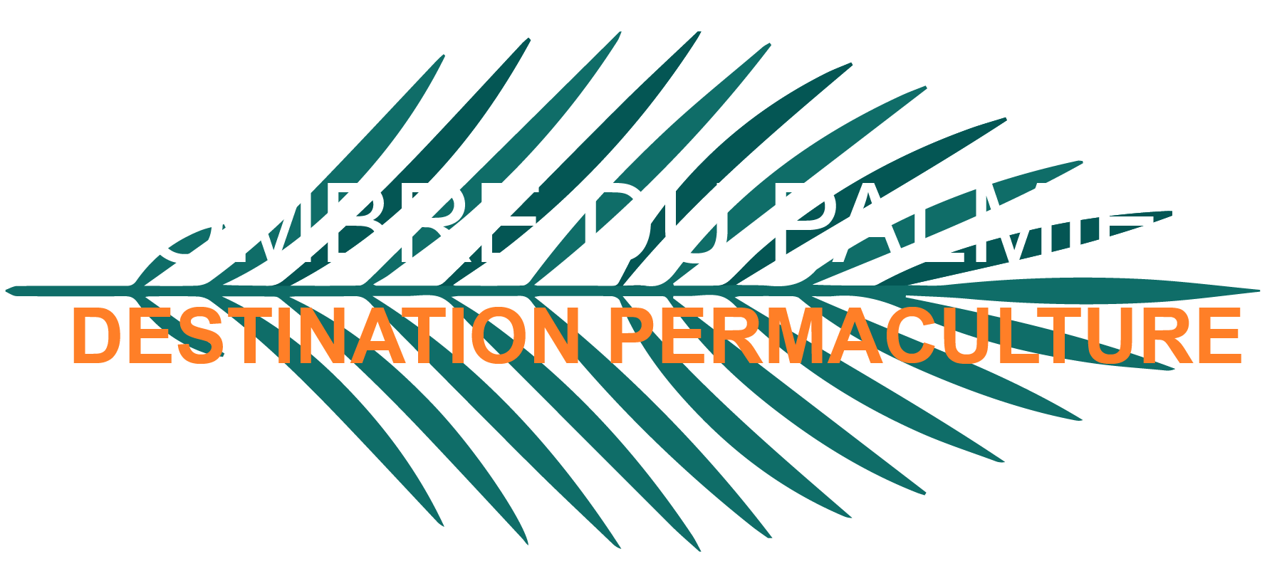 L'ombre du palmier