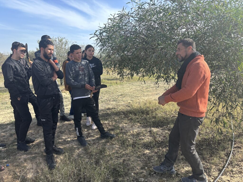 Rôles des arbres fixateurs d'azote