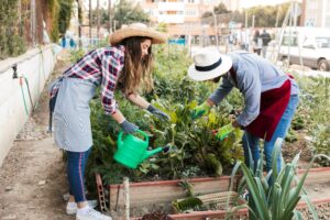 Permaculture urbaine, vivre sainement même en ville