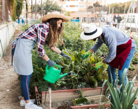 Permaculture urbaine, vivre sainement même en ville