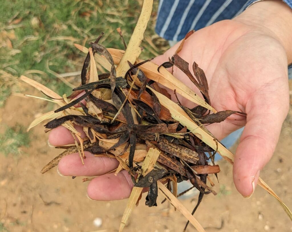 Apprendre la permaculture