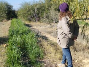 bannière cours d'ancrage.jpg
